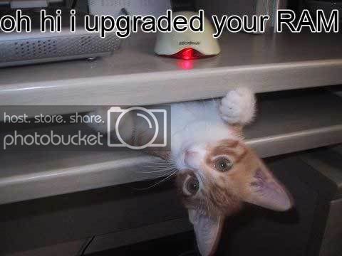 270909735_3d641143ff.jpg