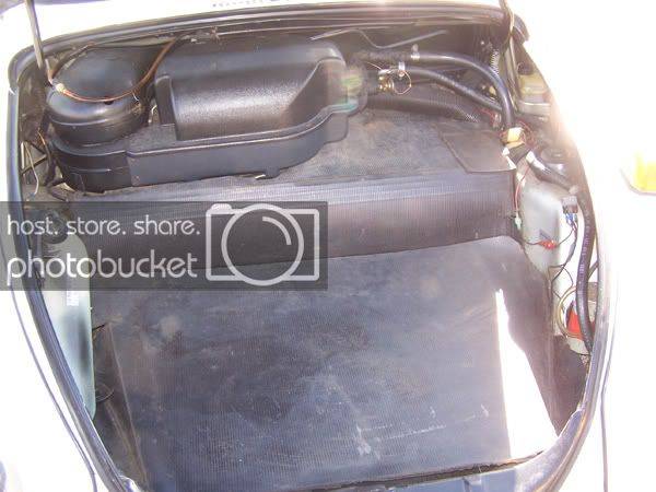 trunk.jpg