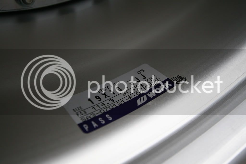 IMG_2769.jpg