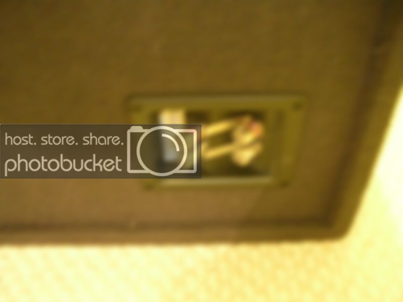 DSCN2557.jpg