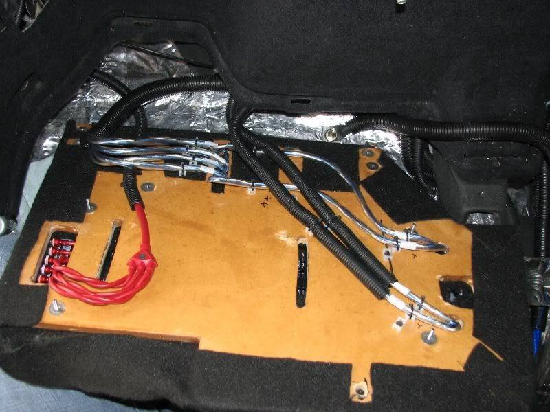 scionamprack003.jpg