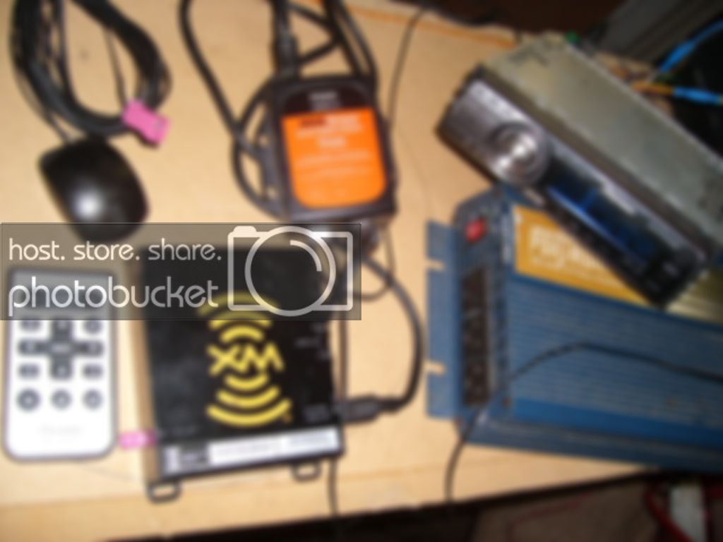 SL730955.jpg