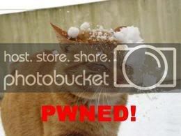 pwned-48495.jpg