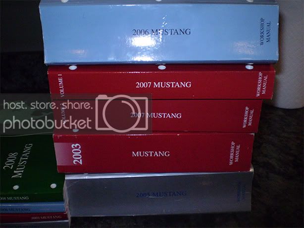 Mustang_man2.jpg