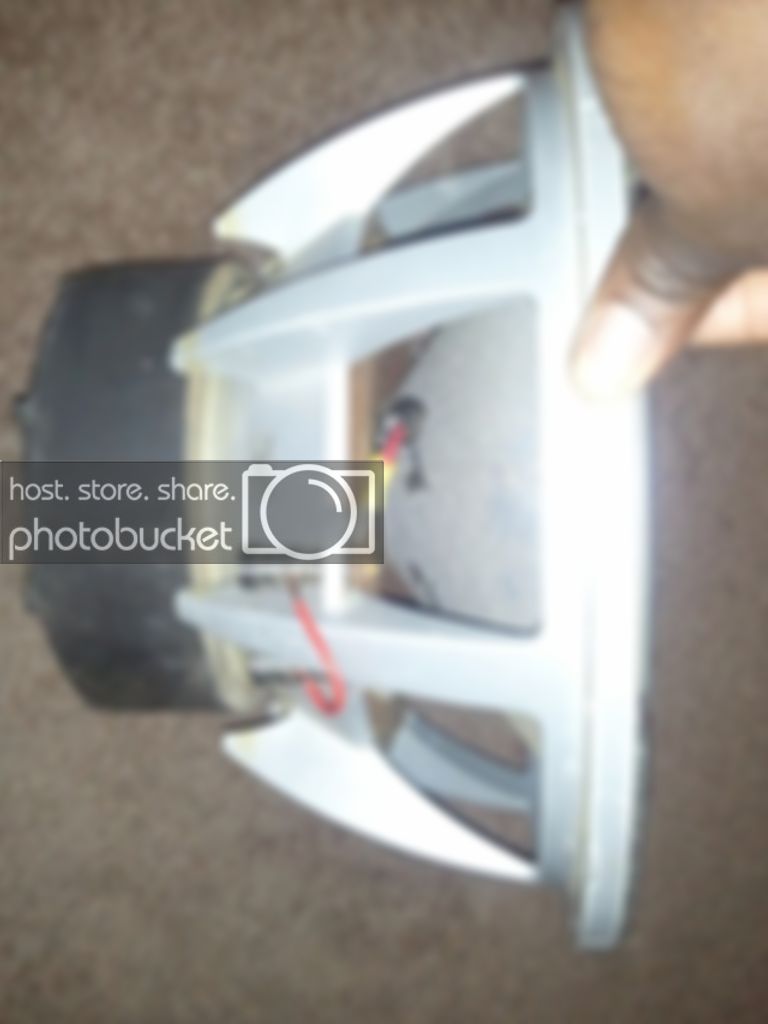 WP_000109.jpg