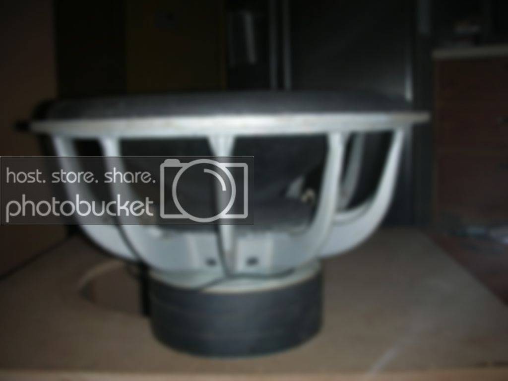 DSCN7786.jpg