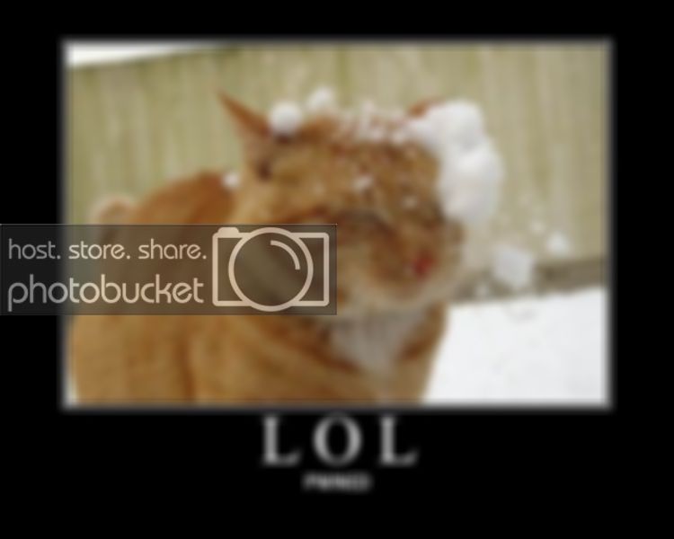 lol.jpg