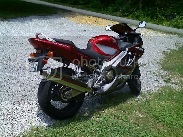 cbr600back.jpg