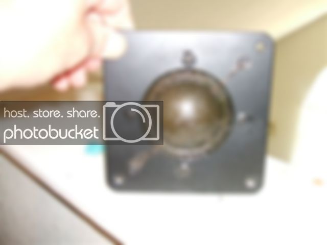 DSCF0842.jpg