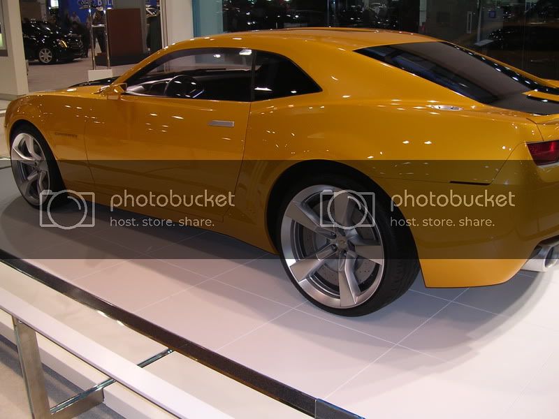 DSCN2487.jpg