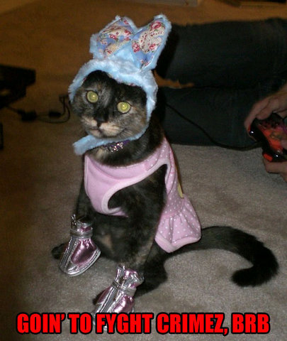 1174329819-fighting_crime_cat.b.jpg