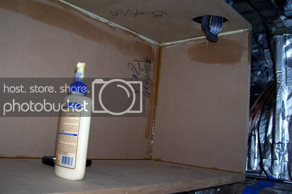 100_2176-1.jpg