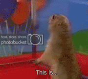 1181695280753.gif