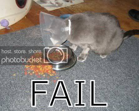 Fail.jpg