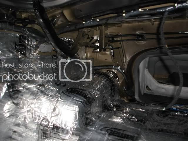 trunk31.jpg