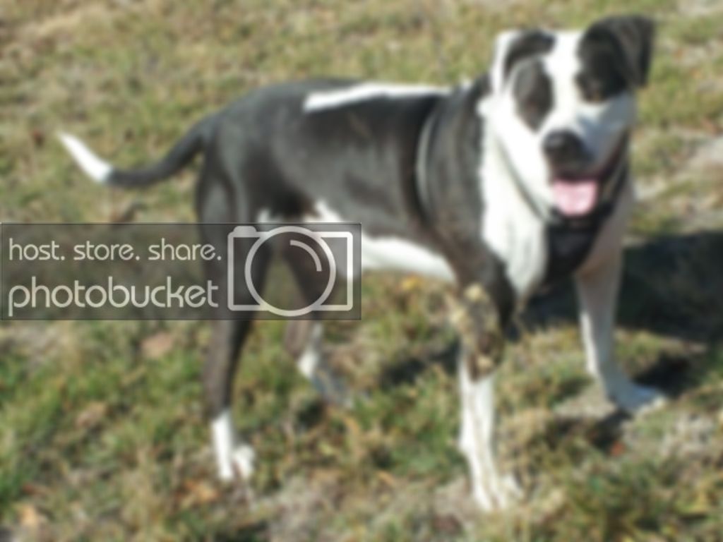 20121123_134825.jpg