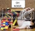 Ohnoezcat-1.jpg