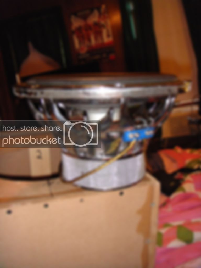 DSC00274.jpg