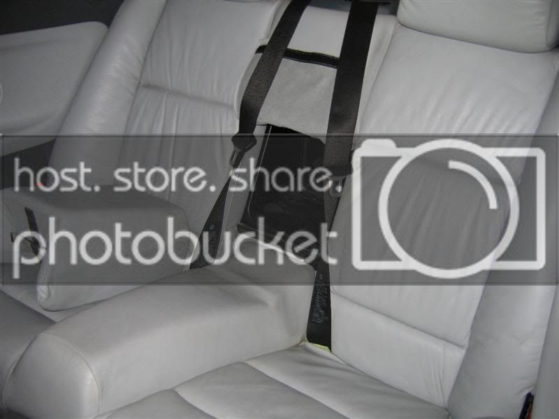 IMG_1225Medium.jpg