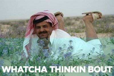 tumblr_l84j2jCtf51qdpslno1_400.jpg