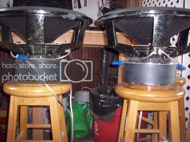 Picture180.jpg
