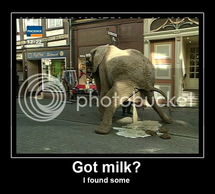 gotmilkzc81.jpg