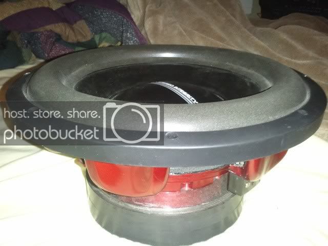 2010-12-16230141.jpg