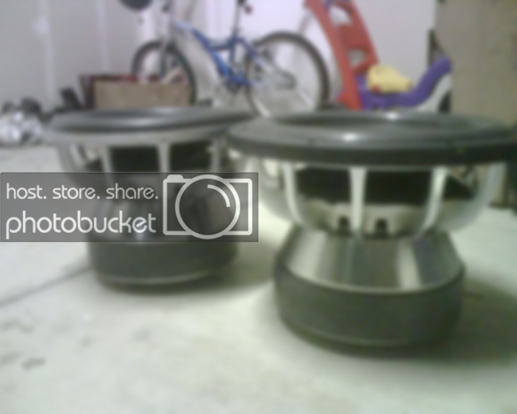 IMG00202.jpg