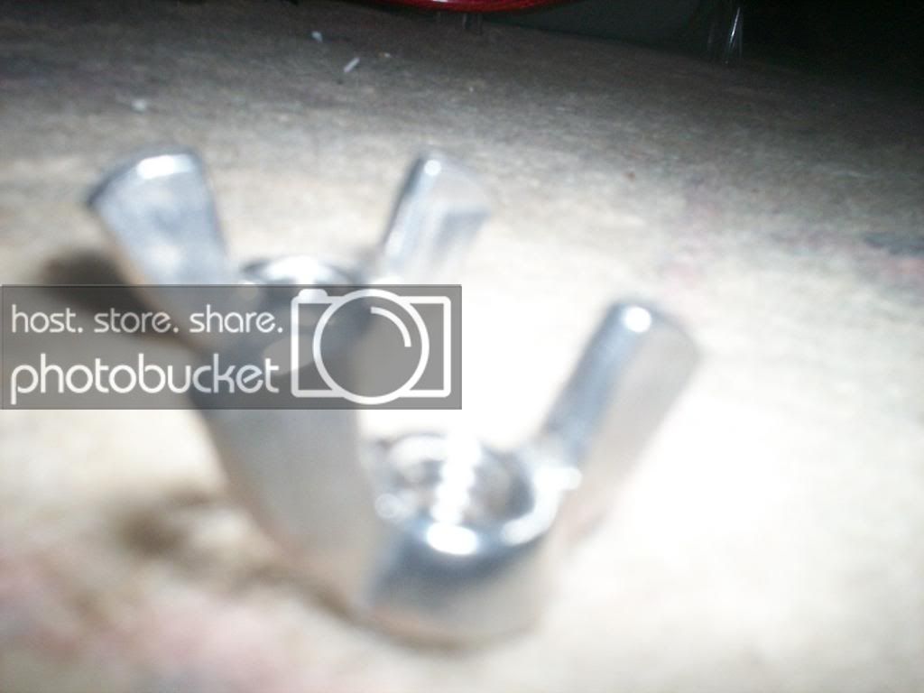 100_0218copy.jpg