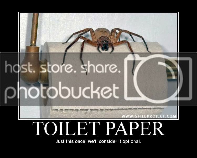 optionaltoiletpaper.jpg