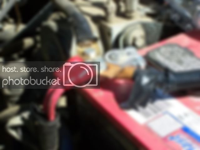 100_3959.jpg