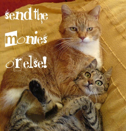 1174324818-MeanCat_monies.jpg
