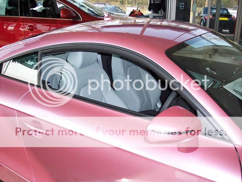 Pink02.jpg