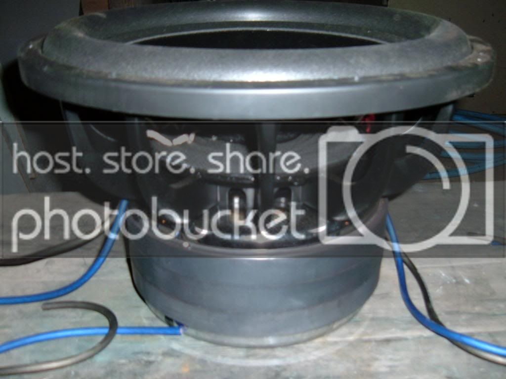 DSCF1233.jpg