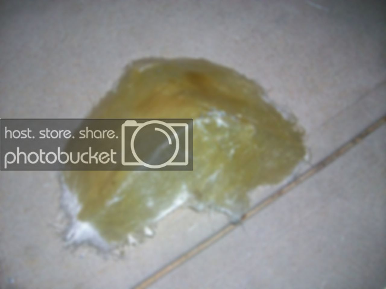 100_2124.jpg