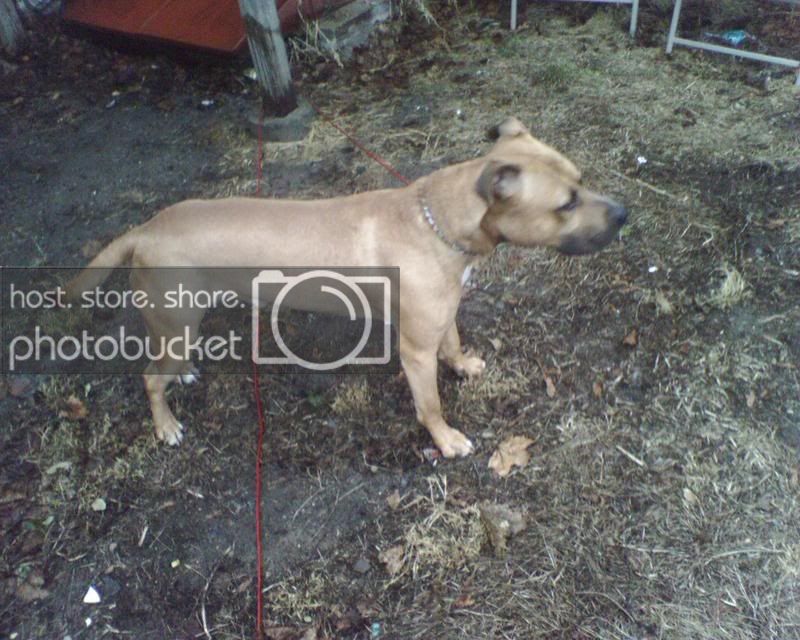 IMG00207.jpg