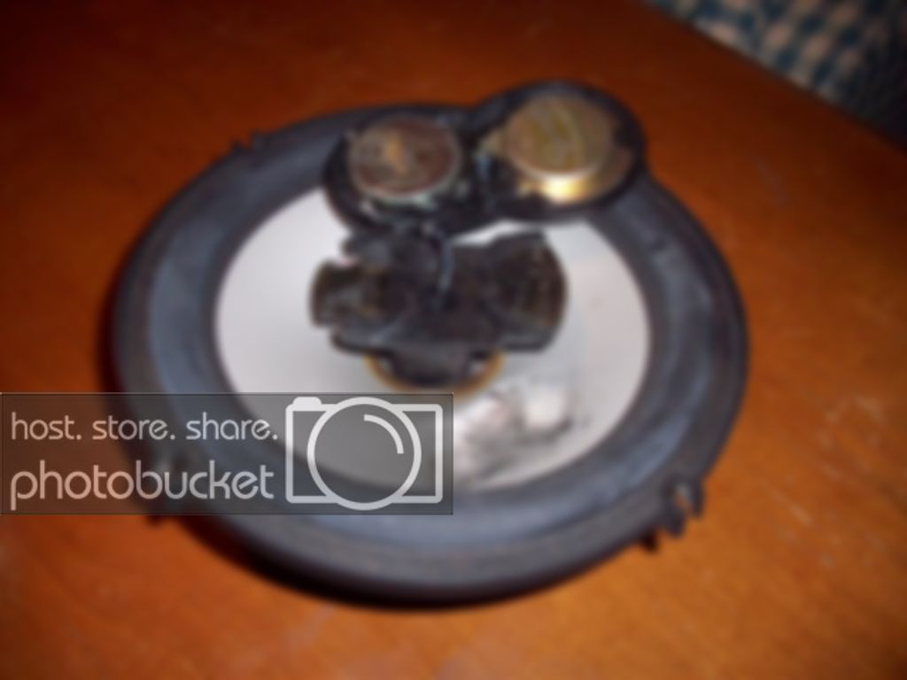 100_0386.jpg