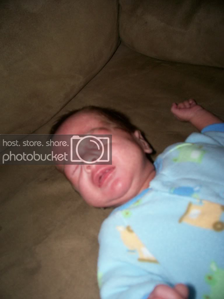 babypics001.jpg