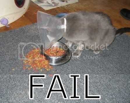 fail1.jpg