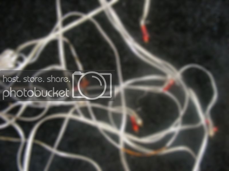 DSCF5284.jpg