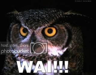 WAI_Owl.jpg