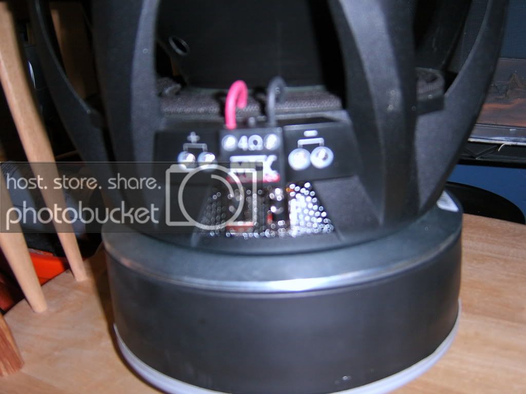 SA501184.jpg