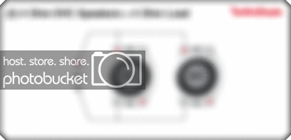2_4ohmDVC_4ohm.gif