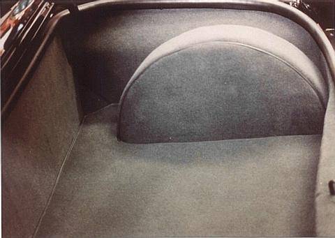 trunk-pass-covered.jpg