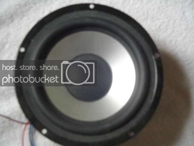 DSC00677.jpg