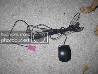 Alpine004.jpg