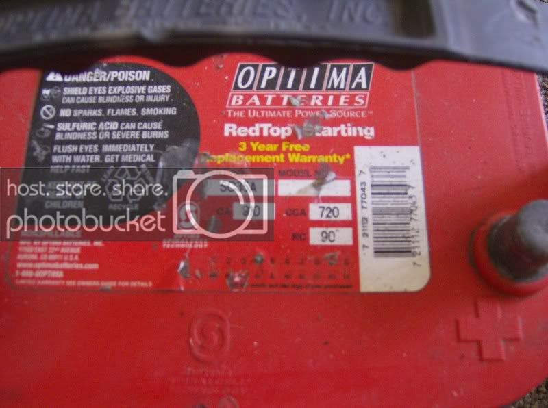 redtopfs003.jpg