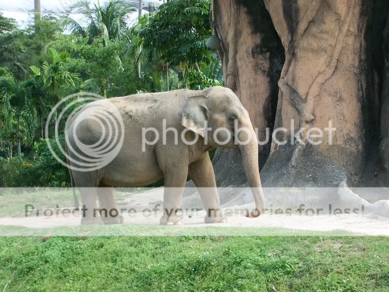 zoo066.jpg