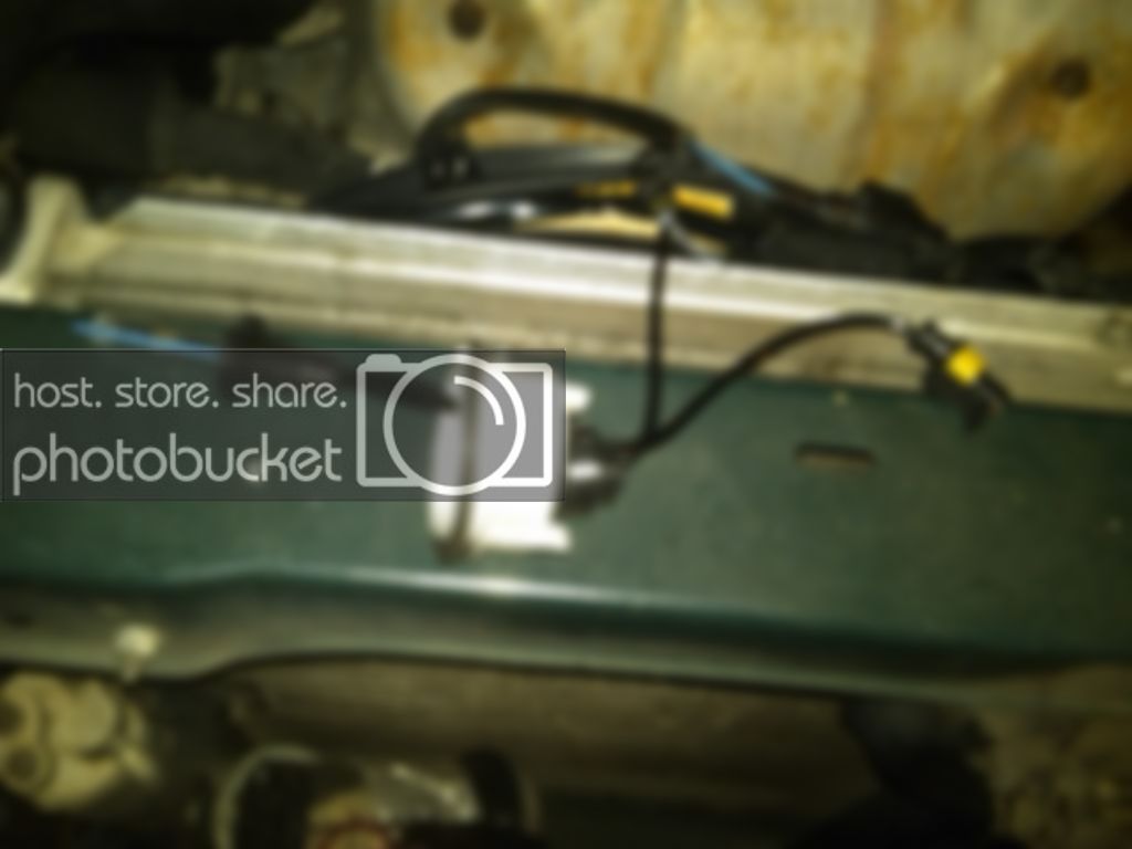 IMG00059-20111203-1806.jpg
