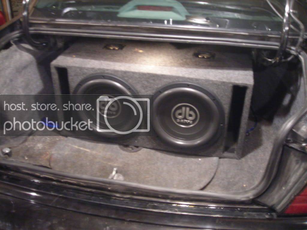 newpics2008418060.jpg